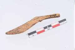 Foto von Beingerät (NHMW-PRAE-003495)